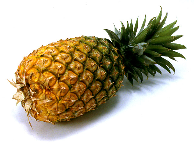 �C���[�W